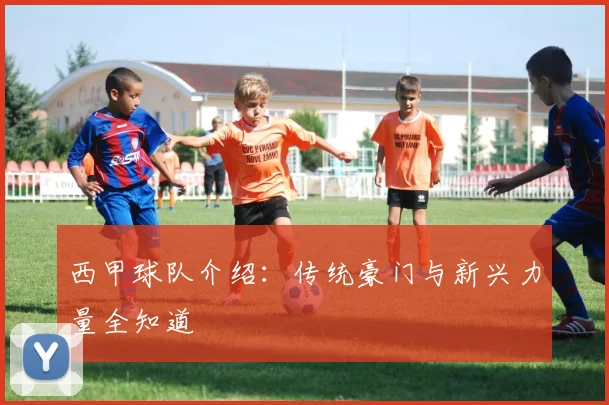 西甲球队介绍：传统豪门与新兴力量全知道