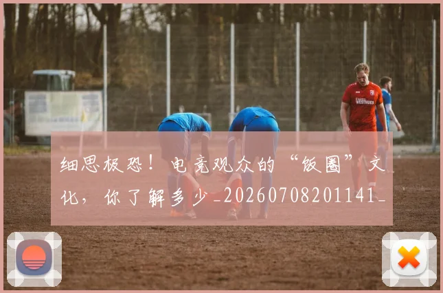 细思极恐!电竞观众的“饭圈”文化,你了解多少_20260708201141_20260803142432