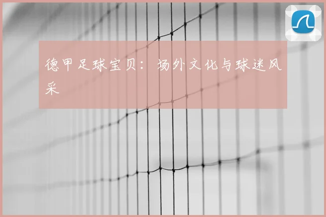 德甲足球宝贝：场外文化与球迷风采